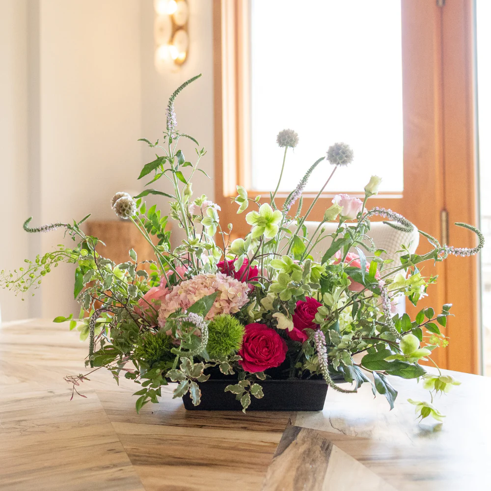 Elevate Every Bloom with OASIS